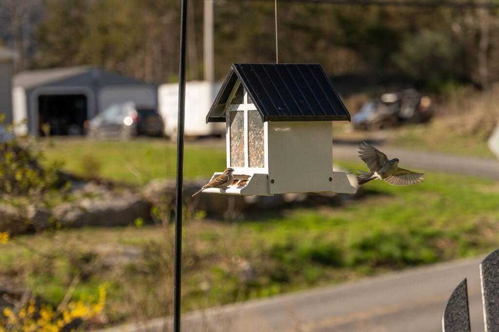 Cozy Cottage, Hot Tub, Fire Pit, 15Min To Hudson And Hiking كاتسكيل المظهر الخارجي الصورة